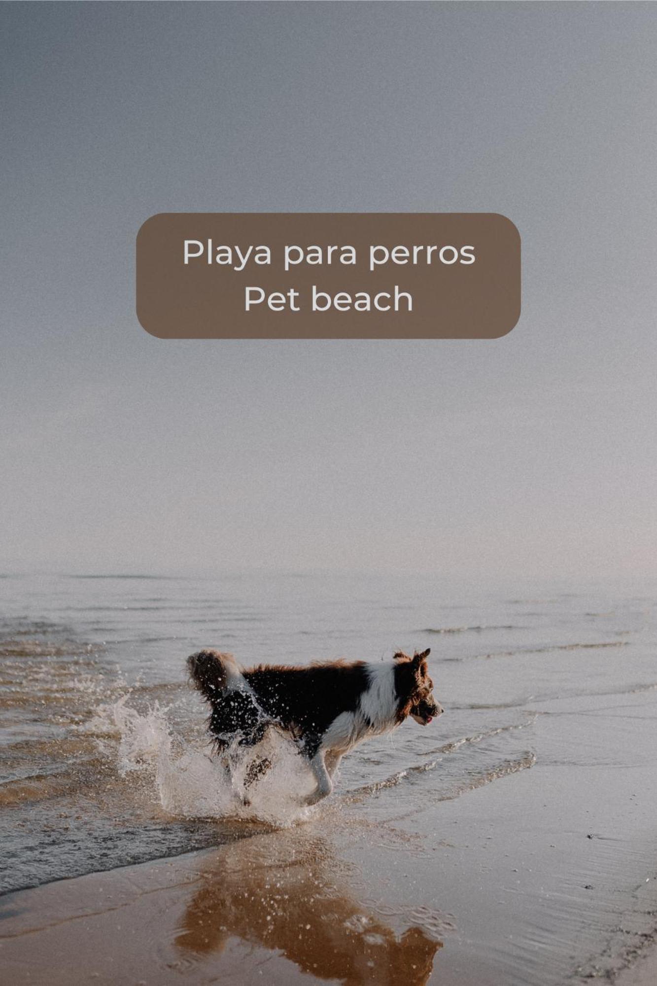 Canelita Con Piscina, Soleada Terraza Amplia Wifi Y Parking Corralejo Luaran gambar